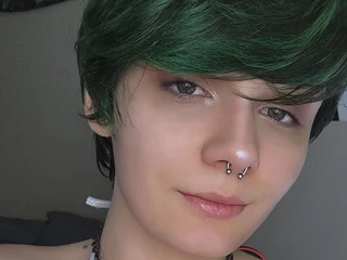 Profile preview